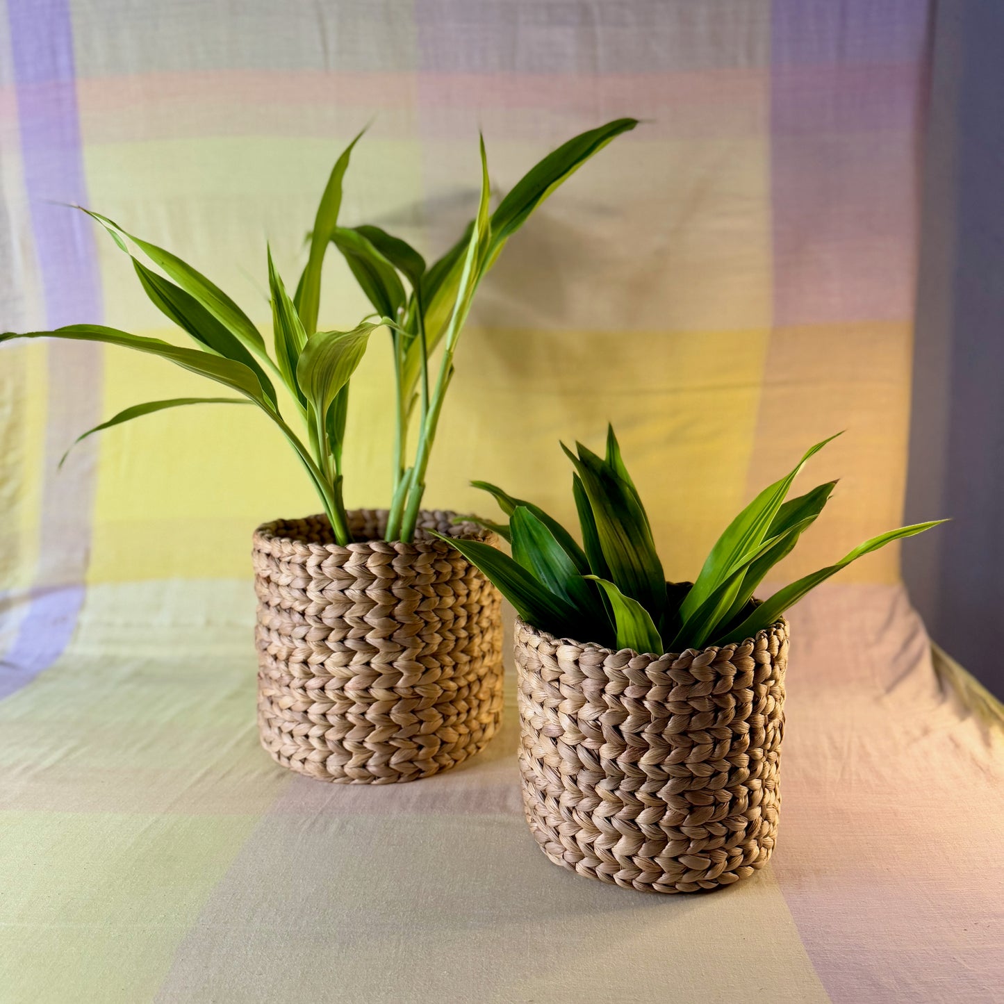 Water Hyacinth Planter Basket - Small