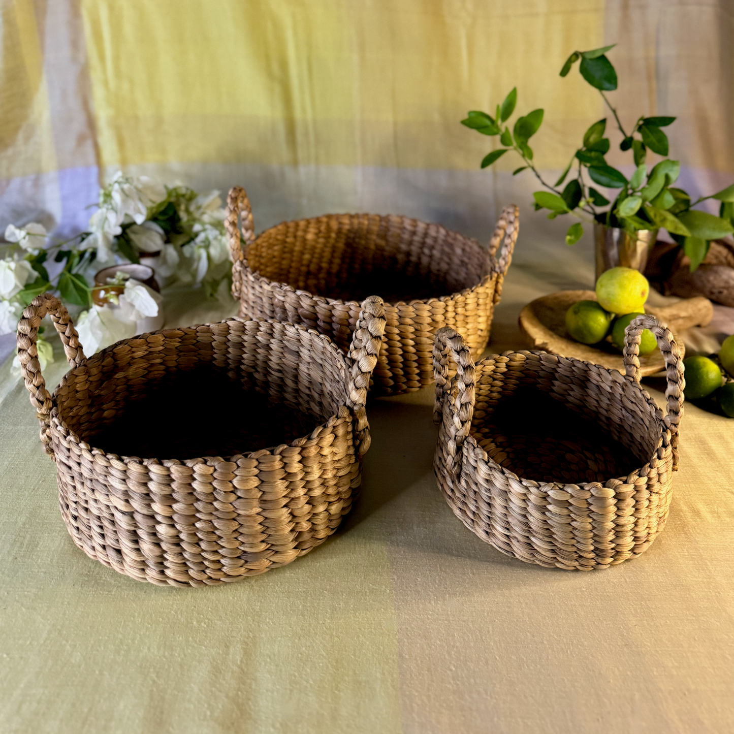 All sizes of Water Hyacinth trays
