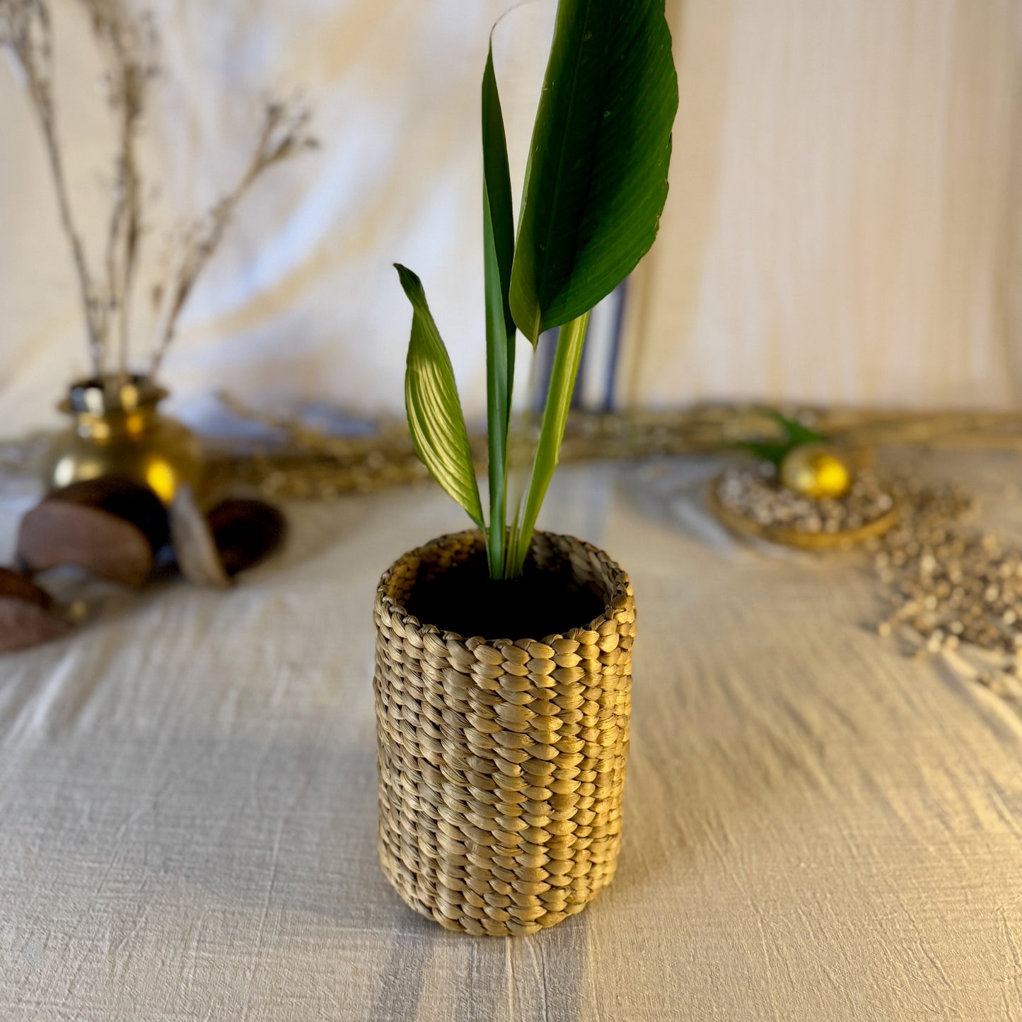medium round basket with plant