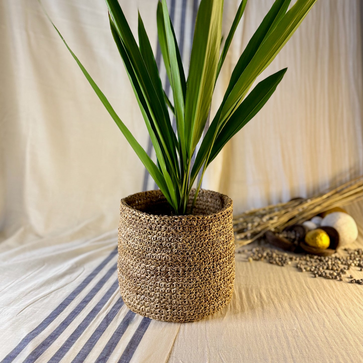 Big Uramma planter basket with plant