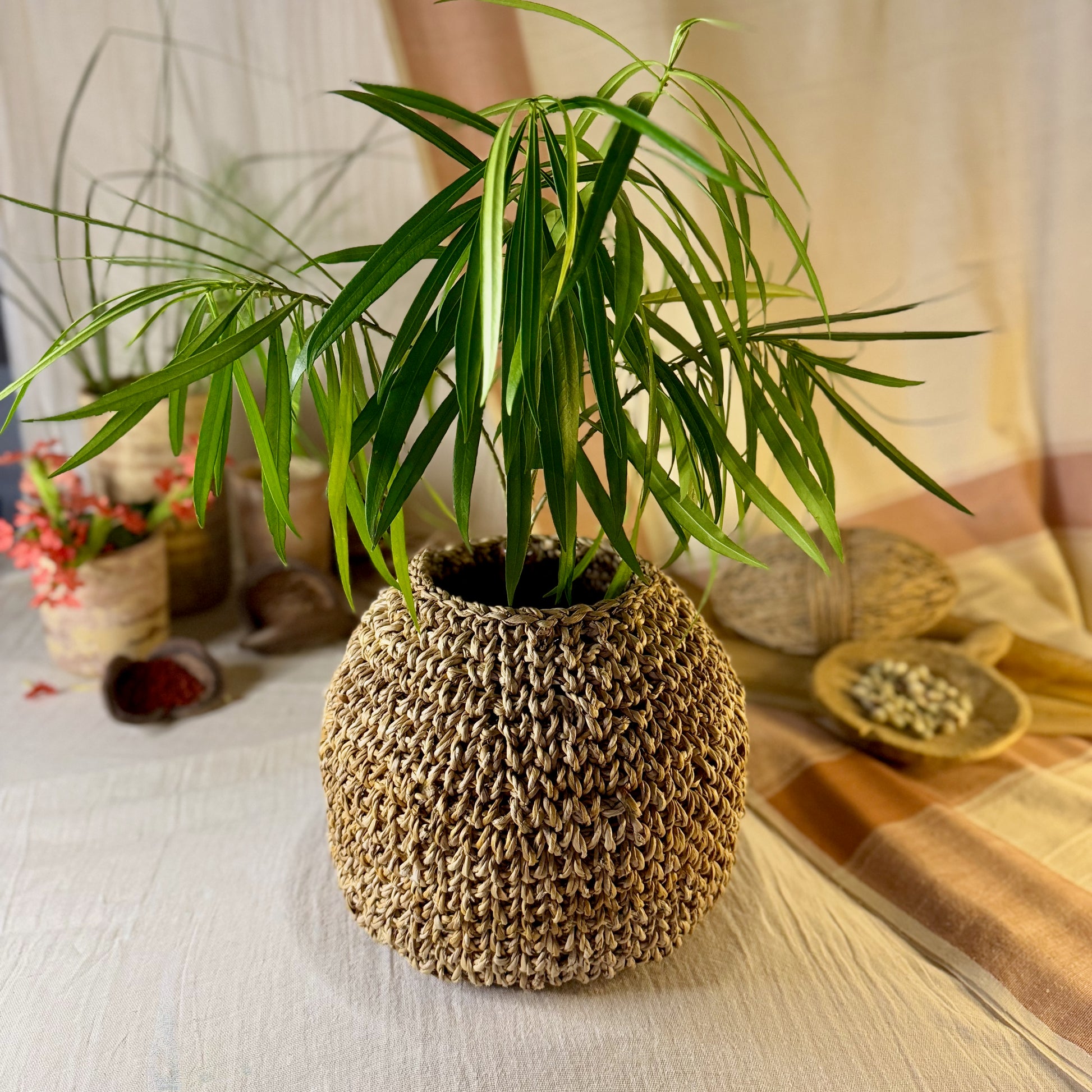 Boulder Basket as Planter